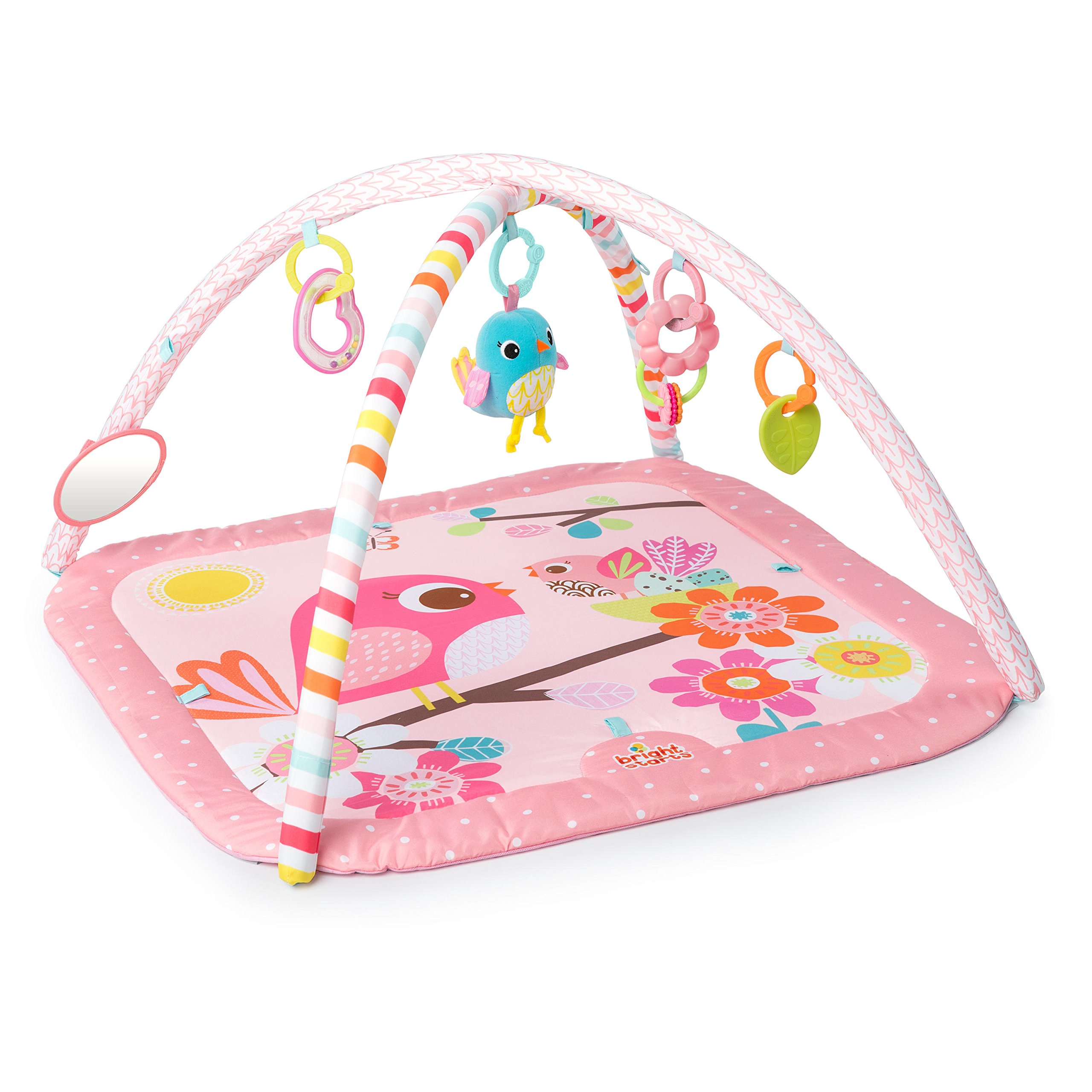 Bright Starts Activity Gym, Birds and Blooms