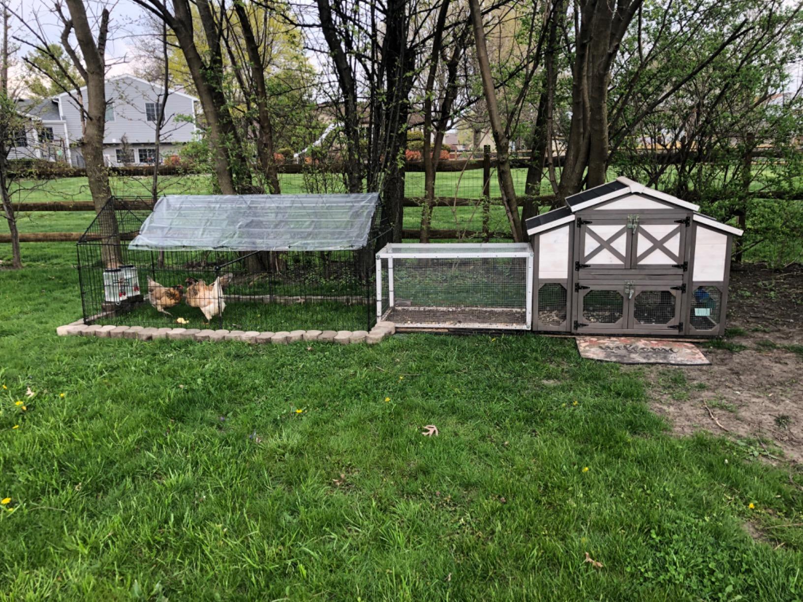 42/mo Finance zoovilla Country Style Chicken Coop Metal Nest Box
