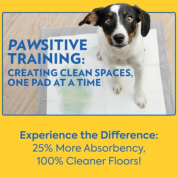 OUT! PETCARE XXL DOG TRAINING PADS, HEAVY DUTY DOG PEE PADS XXL, JUMBO PUPPY PADS, WEE WEE PADS FOR DOGS AND PUPPIES, DOG HOUSE TRAINING, LEAK PROOF, SAFE, DISPOSABLE, 26″X30″, 30 CT