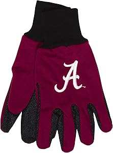 WinCraft NCAA Two-Tone Gloves