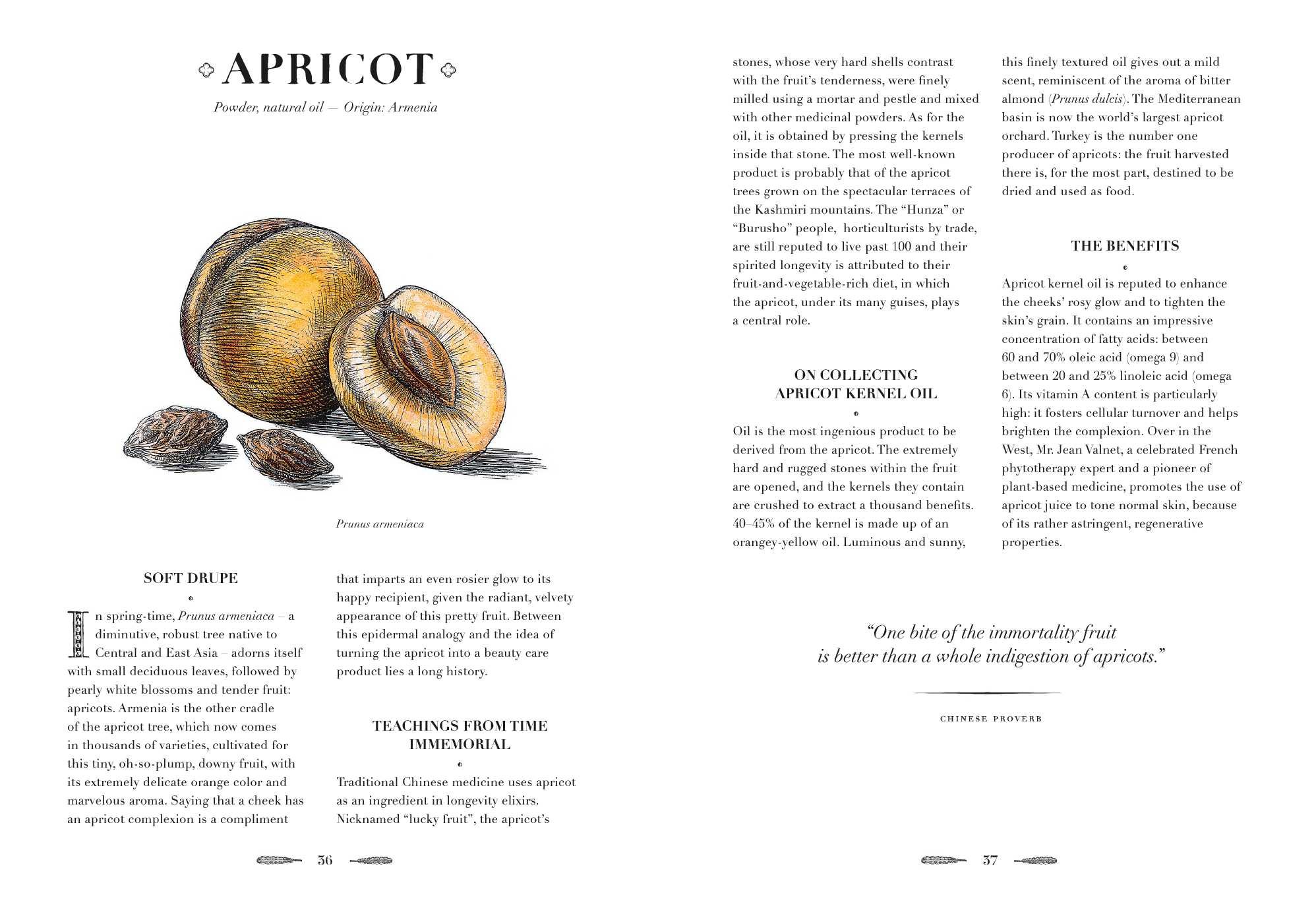 An Atlas Of Natural Beauty Botanical Ingredients For Retaining And Enhancing Beauty Amazon De L Officine Universelle Buly Fremdsprachige Bucher