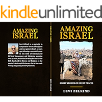 AMAZING ISRAEL: SHORT STORIES OF GREAT PLACES book cover AMAZING ISRAEL: SHORT STORIES OF GREAT PLACES book cover