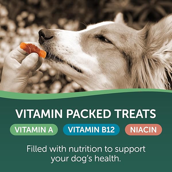 HEALTHFULS CHICKEN WRAPPED SWEET POTATO DOG TREATS, 16OZ