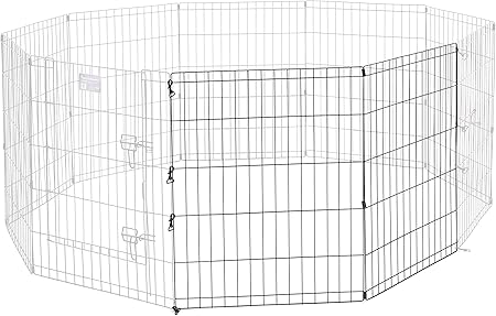 red tri aussie puppy