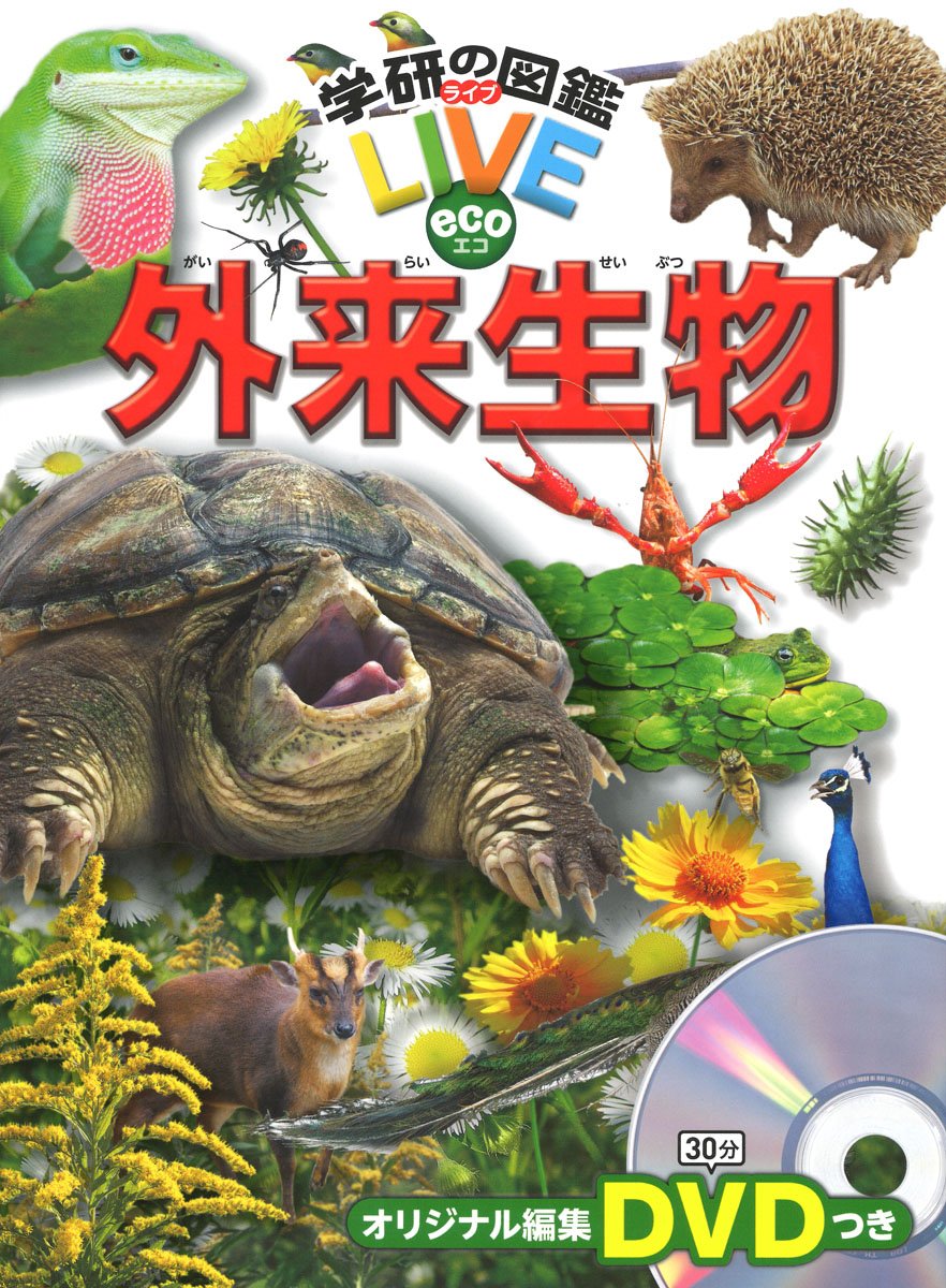 Dvd付 外来生物 学研の図鑑live Eco 3歳 小学生向け 図鑑 忠明 今泉 秀治 岡島 本 通販 Amazon