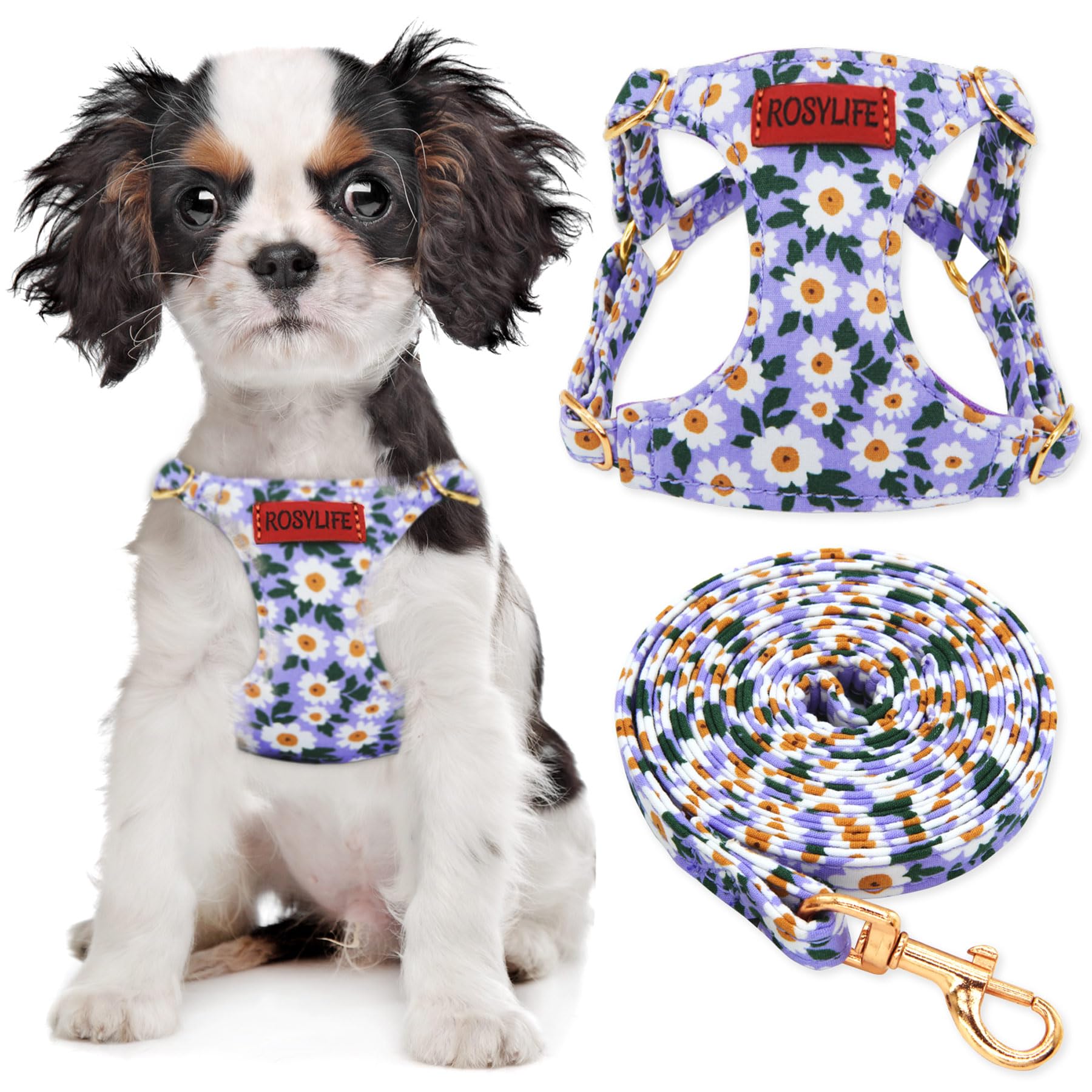 Photo 1 of No Pull Dog Harness Adjustable Small Harness and Leash Set, Lightweight and Soft Dog Harness No Choke Escape Proof Pet Harness Vest (Purple Daisy, XS)