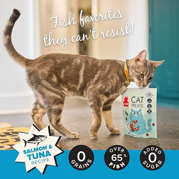 PLATO PET TREATS CAT TREATS – SINGLE INGREDIENT, HEALTHY SALMON TREATS FOR INDOOR CATS – 2.5 OZ