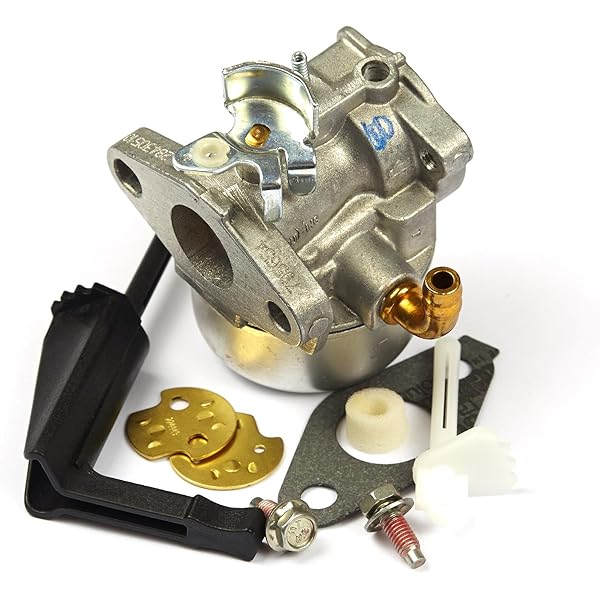 Amazon.com: 798653 Carburetor for Briggs & Stratton 697354 790290  