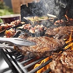 Weber Genesis E-415 Natural Gas Grill for Outdoor