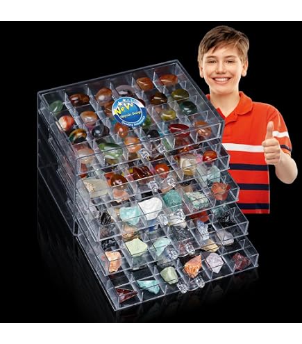 Framepro Box FramePro Rock Collection Box For Kids, Rock Display Case With Shelves ...