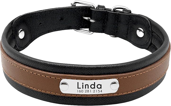 amazon dog collar with name
