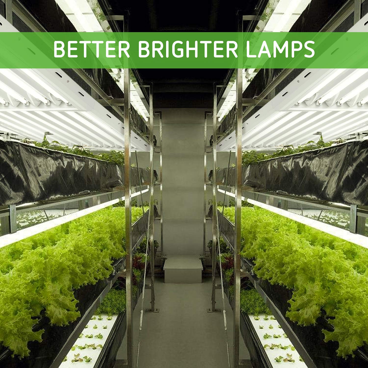 https://images-na.ssl-images-amazon.com/images/I/81qLAWNZHVL.jpg