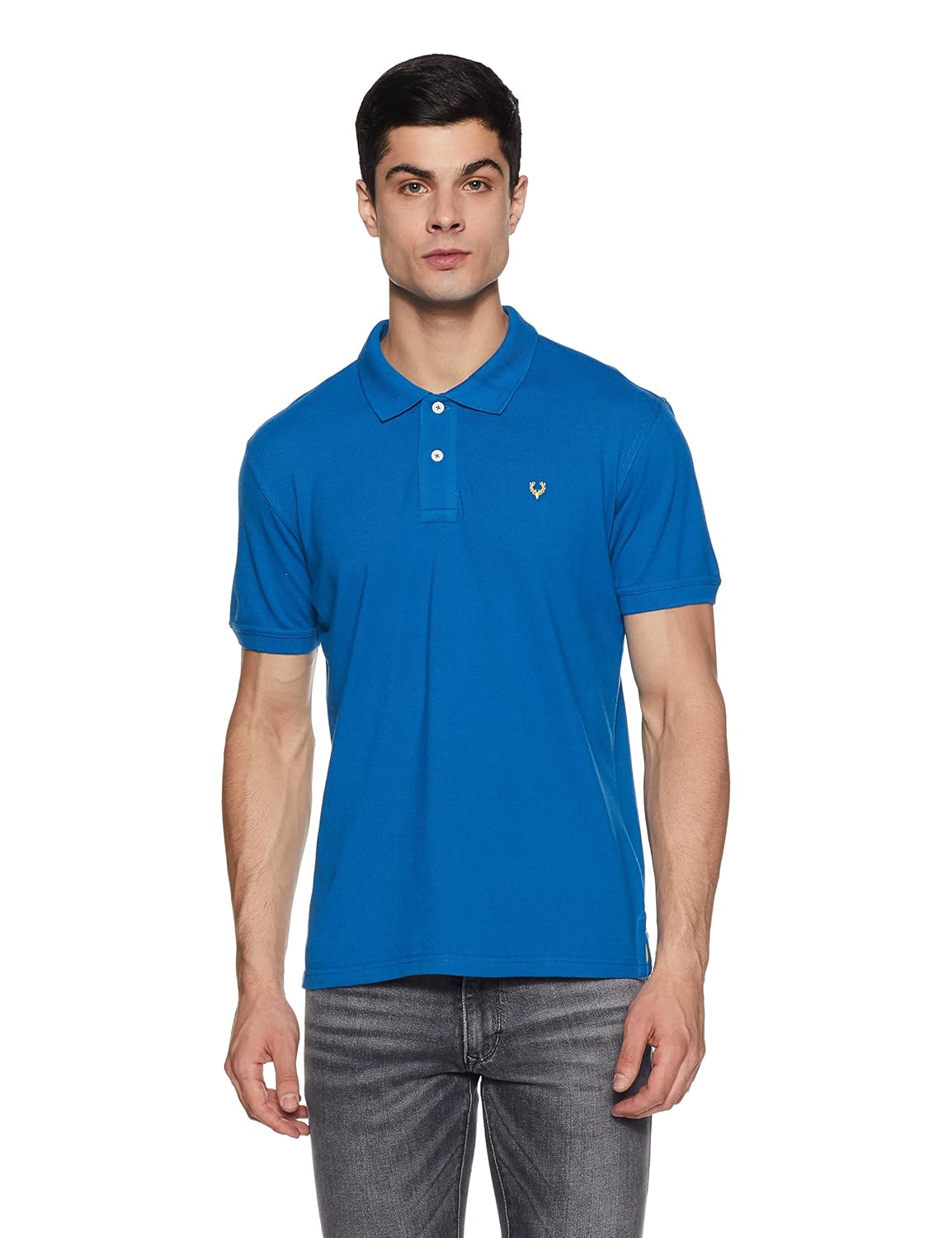 allen solly men's polo