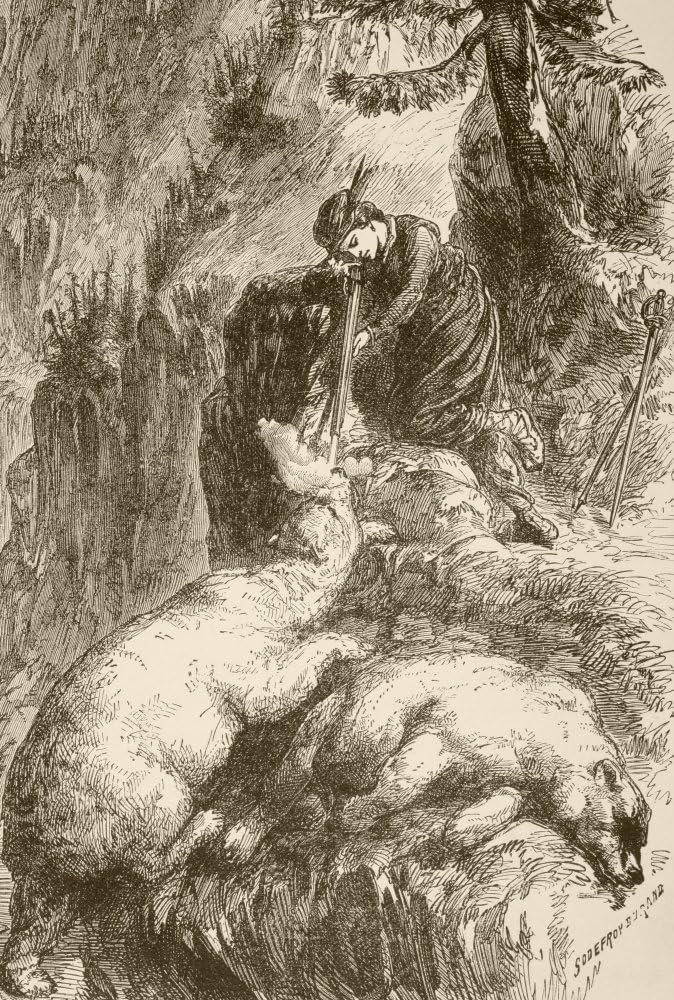 bear isle newfoundlands