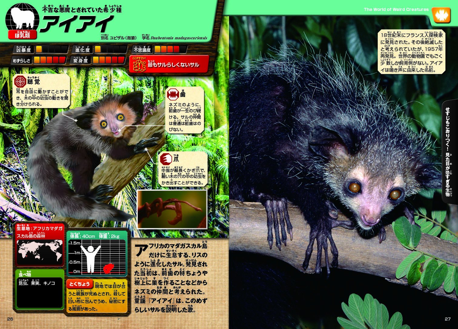 ブキミ生物 絶叫図鑑 Koji Shintaku Amazon Com Books