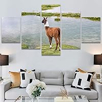 SIGNWIN 5 Panel Canvas Wall Art Modern Art Animals Cow Expressive Farmhouse/Country Multicolor Photography Sheep for Home Decorations Ready to Hang - 60