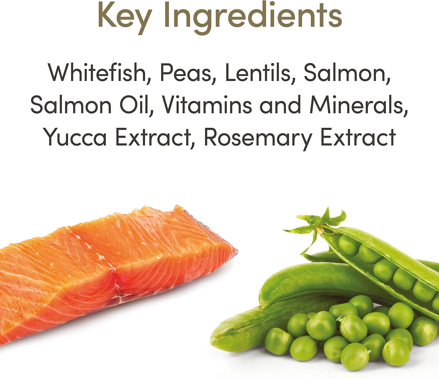 Applaws Complete and Grain Free Dry Cat Food, Adult Ocean Fish with Salmon, 1.8kg (Pack of 1), 1.8 kg (Pack of 1) - Image 5