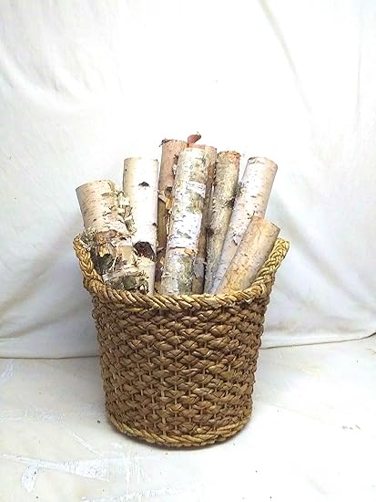 Amazon Com Birch Bundle Of Logs By Wilson Evergreens Wall Art