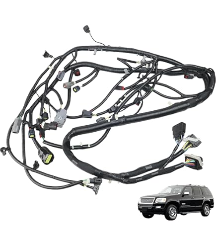 Amazon.com: Zachager 0005458 Cabin Internal Wiring Harness