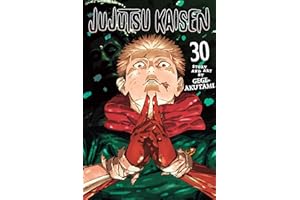 Jujutsu Kaisen, Vol. 30