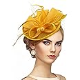 Zinniday Fascinator Tea Party Hat - 2025 Derby Pillbox Kentucky Hat for Women (7.87x5.9inch)