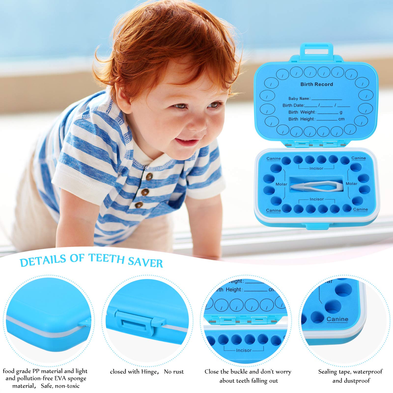 Patelai 2 Pack Baby Keepsake Tooth Box PP Baby Teeth Storage Holder Fairy Tooth Boxes Saver First Teeth Collection Container for Boys and Girls (Blue and Pink)