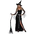 Womens Rich Witch Costume