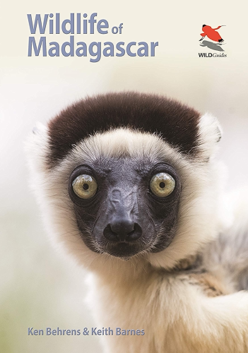 Download Wildlife of Madagascar (Wildlife Explorer Guides) (English Edition) PDF