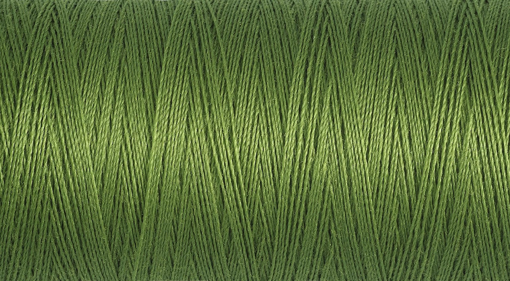 Gutermann Sew All Polyester Thread, 250 Mtr, Pistachio (0283), 5.5 x 2.7 x 2.7 cm — image 1