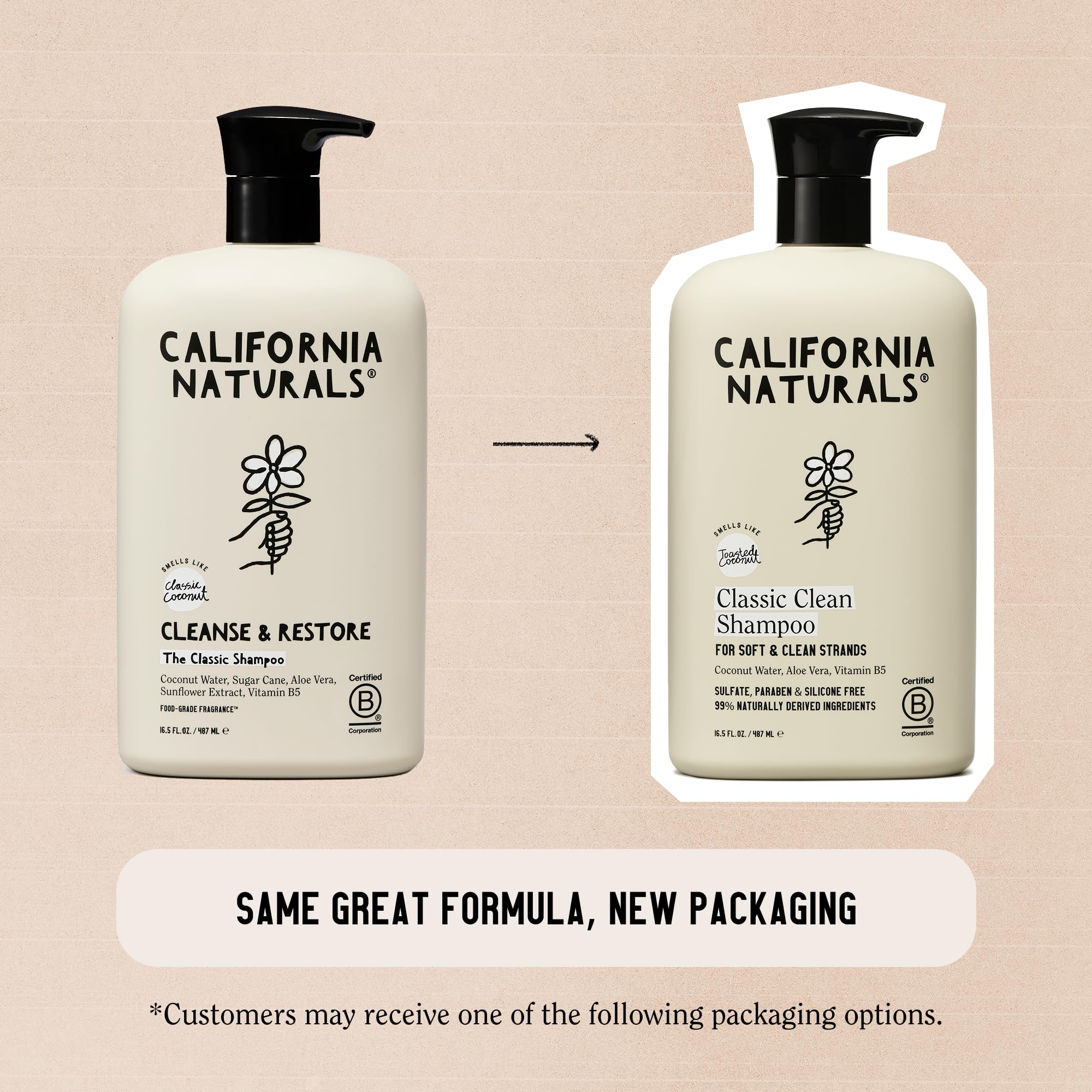 California Naturals Coconut Shampoo, Sulfate Free, Scalp and Hair Care for Women and Men, Coconut Cleansing Complex, Natural, Vegan, Cruelty, Silicone, and Paraben Free, All Hair Types, 16.5 fl oz