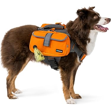 best dog backpack fo hiking Amazon Best Sellers: Best Dog Backpacks
