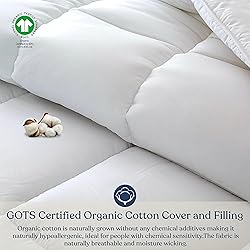 Delara Organic Cotton King Duvet Insert – White
