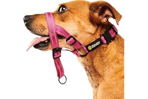 Zevey Adjustable Dog Head Halter with Safety Strap, Soft Padded Dog Head Collar for Small Medium Large Dogs, No-Pull Dog Harness for Training and Walking (Medium, Pink)