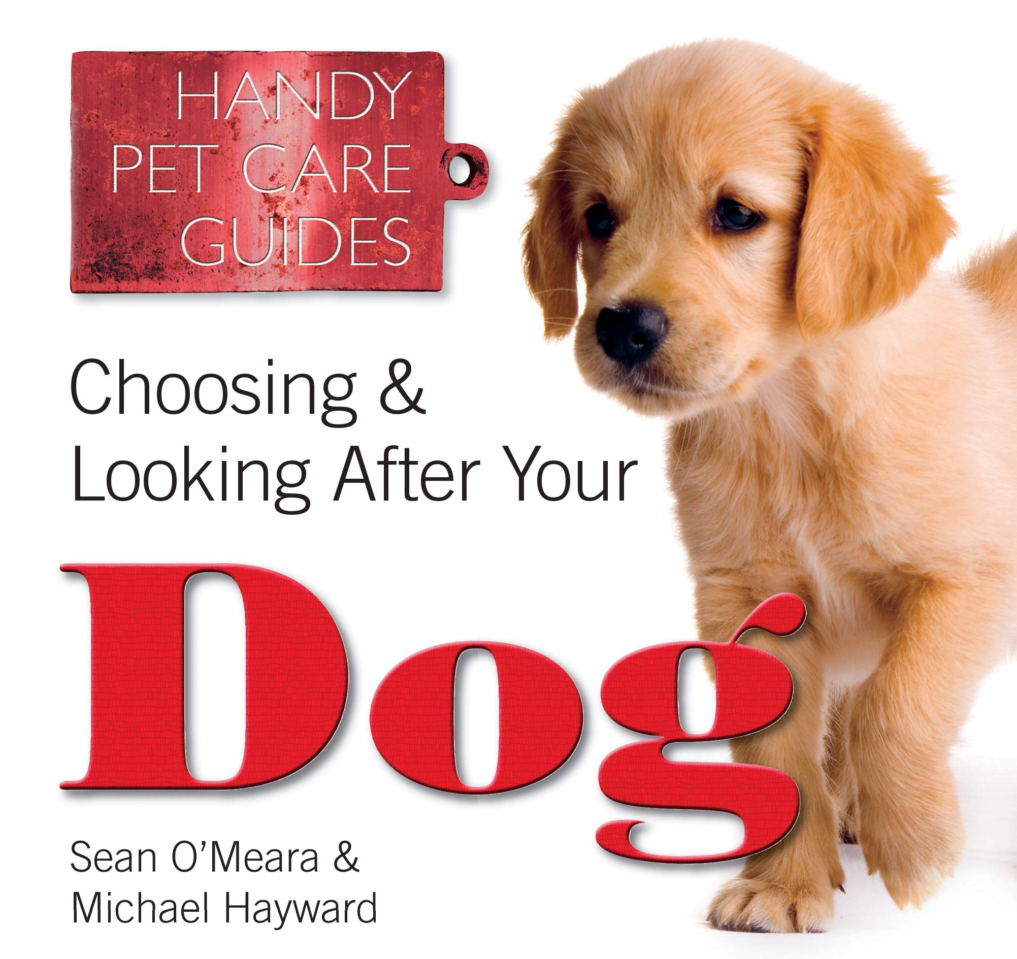 caring for your dog