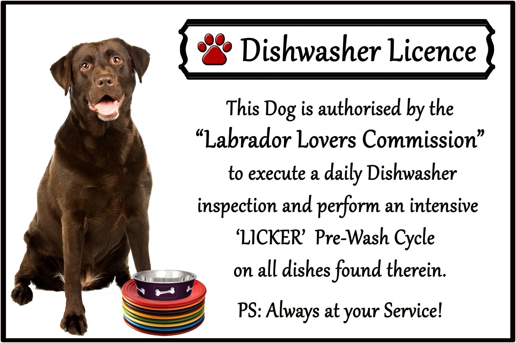 Chocolate Lab, Labrador Lover Gift - Fun Dishwasher Licence Flexible 6" x 4" Magnet