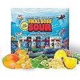 Final Boss Extremely Super Sour Candy (Tropical Flavor Sampler Pack - 1.06 Ounce Bags) - Natural Chewy Gummies Made with Dried Fruit, Free of Artificial Colors, Low Calorie Healthy Snack for Kids & Adults (All Sour Levels) (18 Pack)