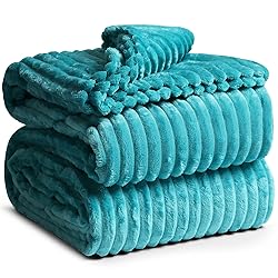 Clara Clark Cut Plush Blanket - Queen Size