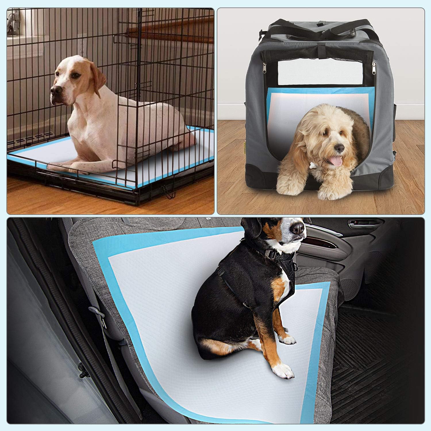 Gimars XL 28"x34" Thicker Heavy Absorbency Pet Training Puppy Pee Pads - Extra Large Disposable Polymer Quick Dry No Leaking Pee Pads for Dogs, Cats, Rabbits and Other House Training Pets, 30 count : Pet Supplies