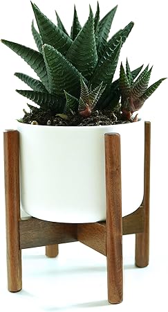 Jycra Support De Plante Milieu Du Siecle En Bois Support De Pot De Fleur Affichage En Pot Etagere De Support Pour Salon Salon Jardin Balcon Coin Decor Jardinage Supports De Pots