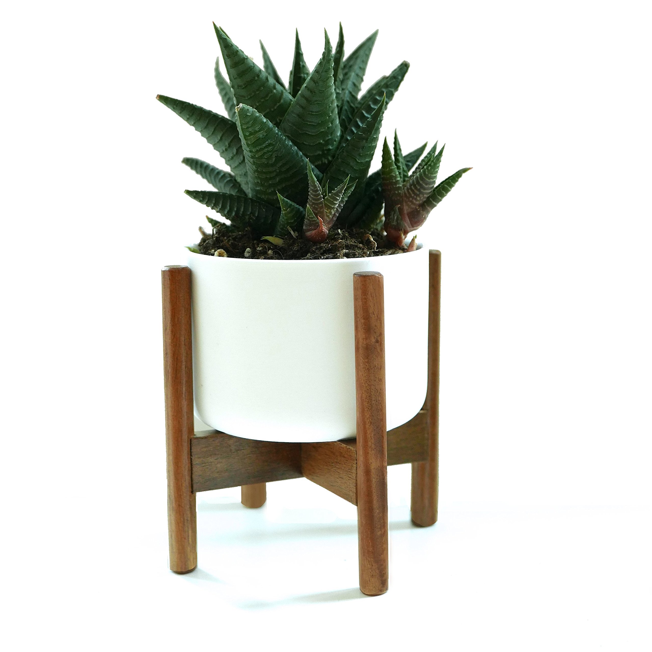 Fox & Fern Single Wooden Plant Stand w/ Indoor Plant Pot, Indoor Plant Stands & Plant Pots for Homes/Offices, Sturdy Eco Plant Pot Stand, Easy To Assemble Pot Stand & Flower Pot for House Plants — image 1