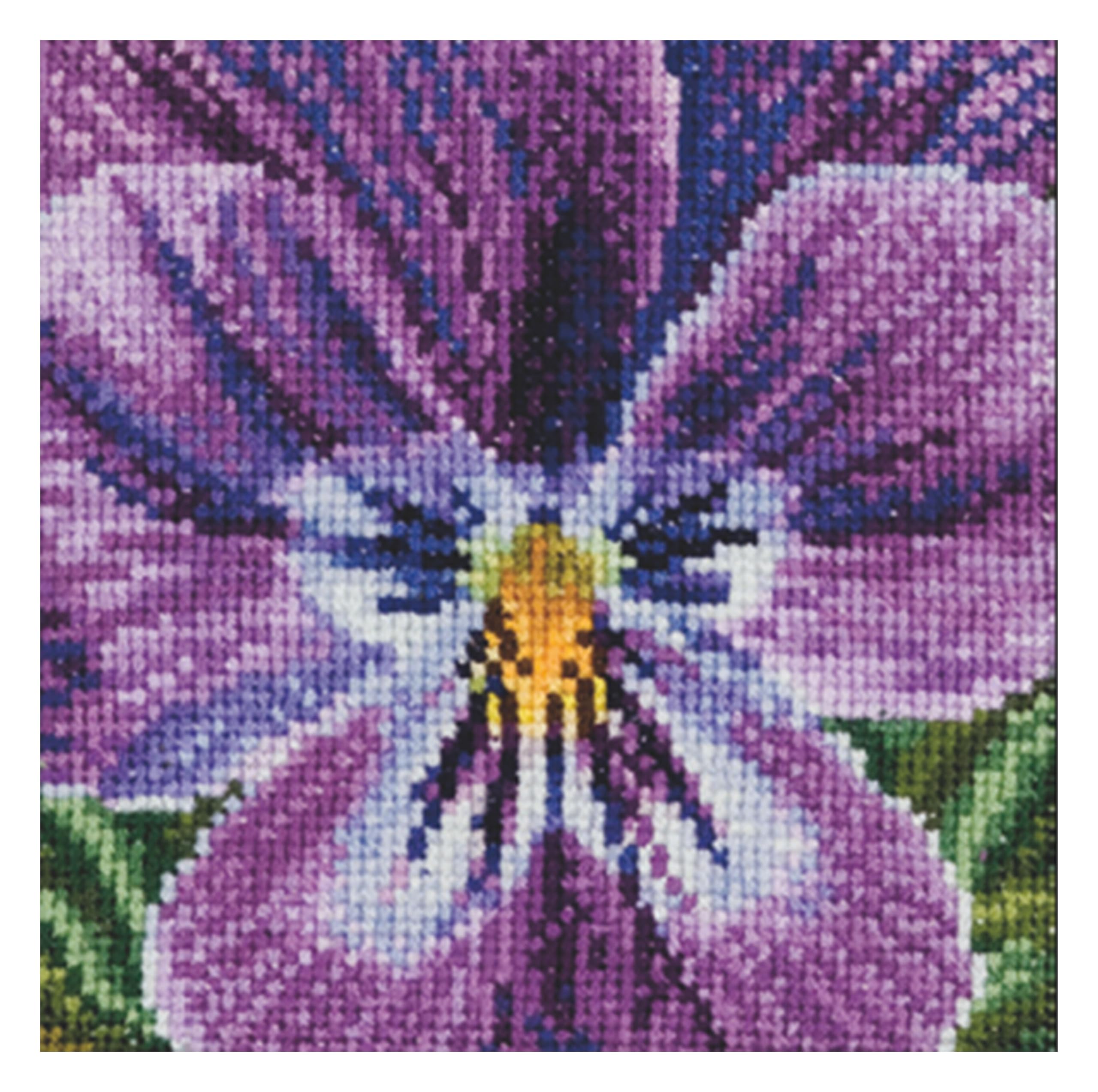 Thea Gouverneur - Counted Cross Stitch Kit - Pansy - Aida - 18 Count - Embroidery Kit for Adults - DMC Embroidery Threads and Other Cross Stitch Supplies Included - 456A