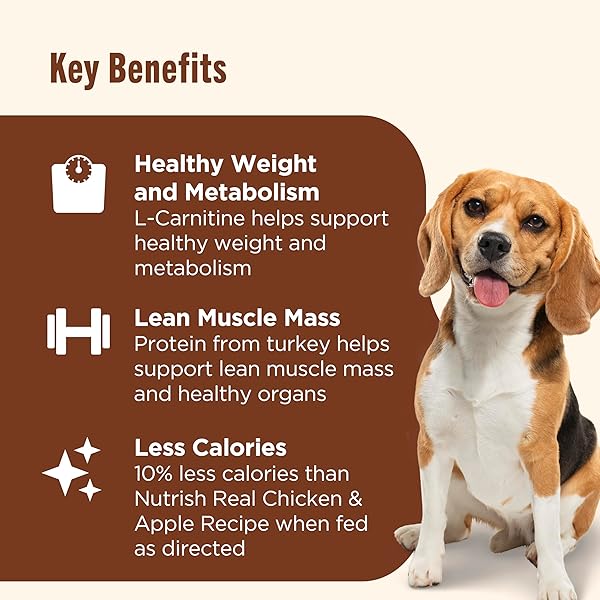 NUTRISH RACHAEL RAY WEIGHT MANAGEMENT WET DOG FOOD PREMIUM PATÉ REAL TURKEY & PUMPKIN RECIPE, 13 OZ. CAN, 12 COUNT