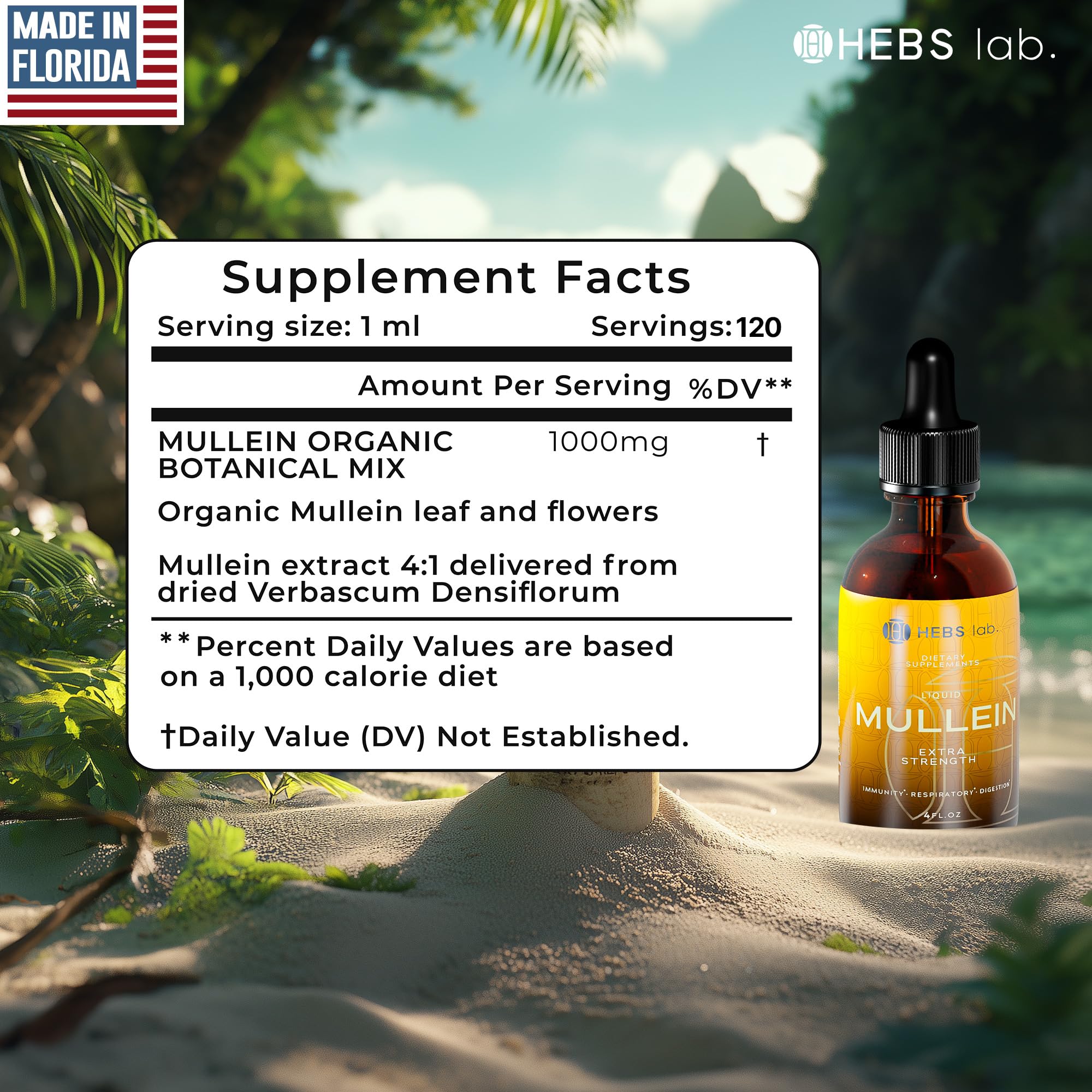 Mullein Leaf Extract for Lung Cleanse and Health - Mullein Drops Made in USA - Lung Support Supplement - Herbal Respiratory Support - Mullein Extract Tincture 4 Fl Oz