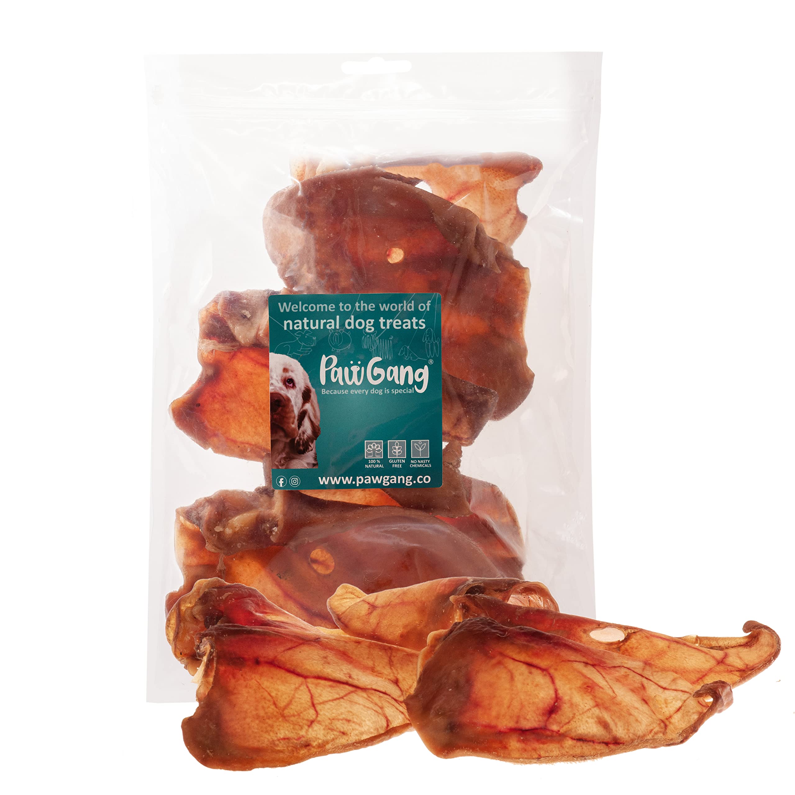 PawGang - Large Pig/Pork Ears 5 pcs - 100% Natural Treats for Dogs Young Adult Old Small and Large Dog - Air Dried Chews Snacks - Healthy Hypoallergenic - Low Fat Grain Free - Barf Raw