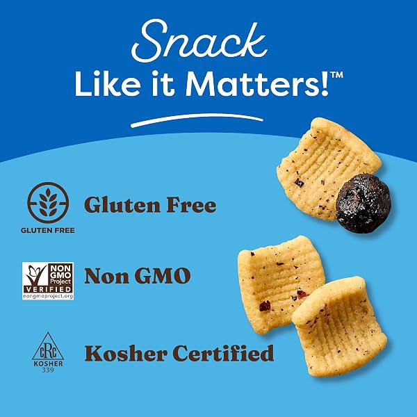 CATALINA CRUNCH PROTEIN CEREAL – BREAKFAST CEREAL WITH 10G OF PROTEIN, NO ADDED SUGAR – GLUTEN FREE – BLUEBERRY MUFFIN – 8 OZ. BAG (PACK OF 1)
