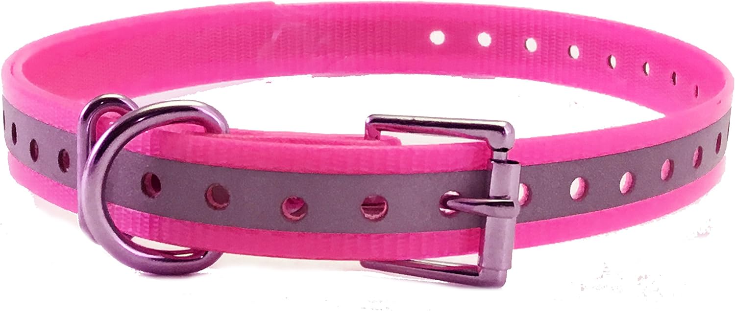 sportdog replacement collar amazon