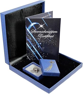 étoile Filante Octaédrite Avec Certificat Dauthenticité