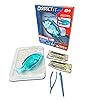 Dissect-It Simulated Synthetic Lab Dissection Toy, STEM Projects for ...