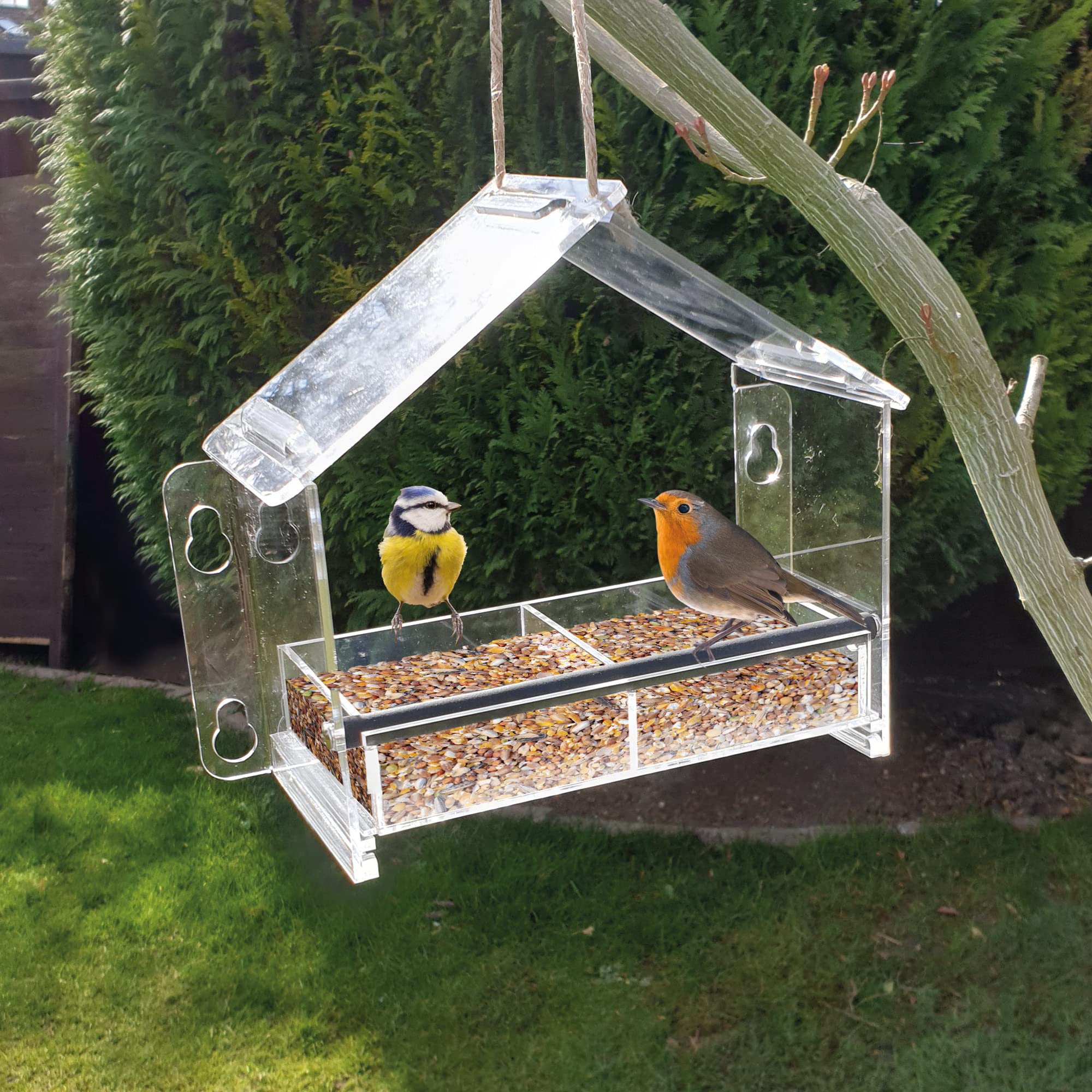 Oliphant Frequent Flyer Clear Bird Feeder