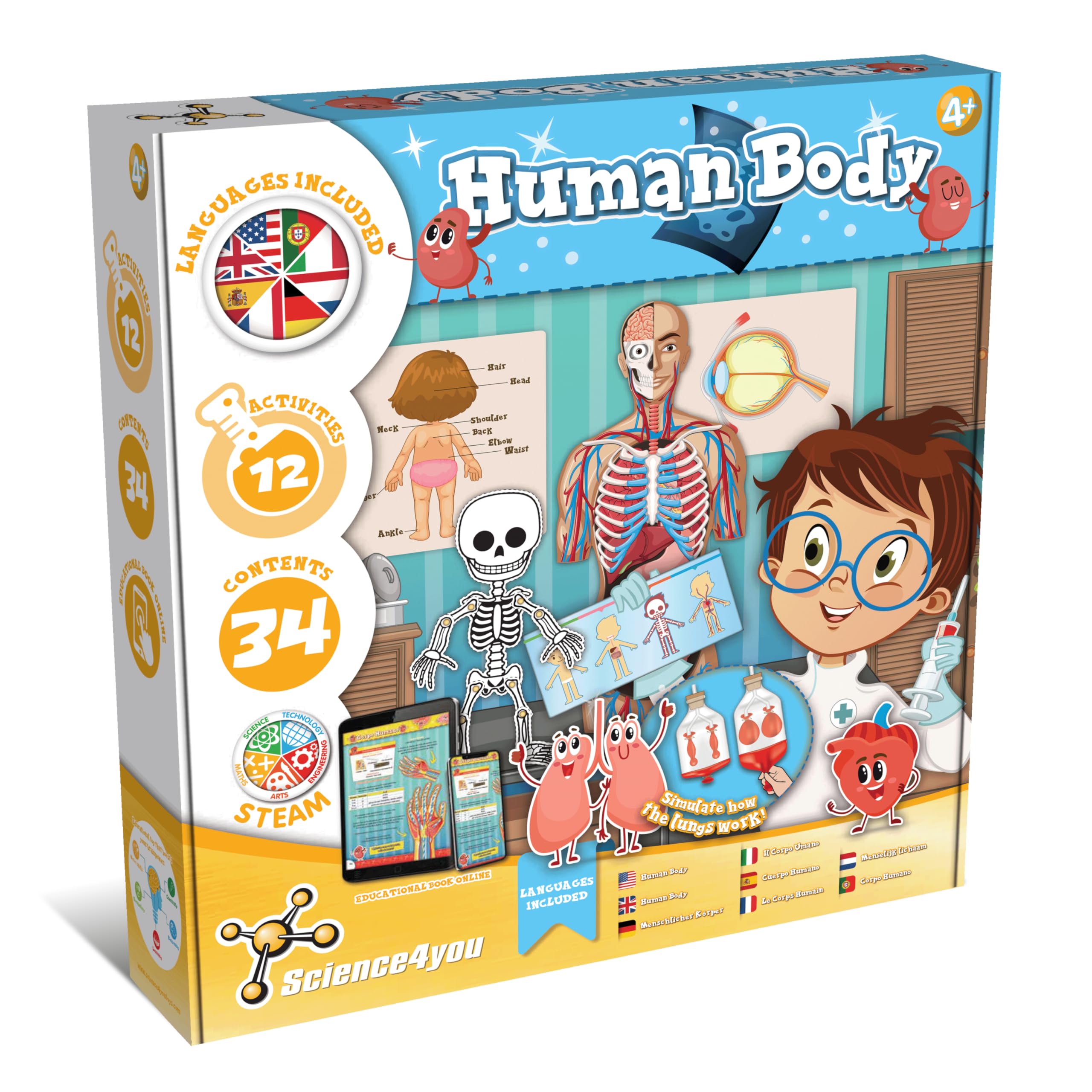 Science4you Human Body for Kids – Discover the details of the Human Body, Find all the Curiosities of Organs, Skeleton and Systems with this Science Kit, Set Gift for Girls and Boys Age 4 5 6 7+